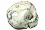 Realistic, Polished Tree Agate Skull #382185-4